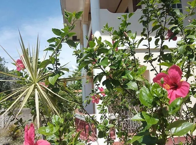 Hostel Happy Cow Moalboal